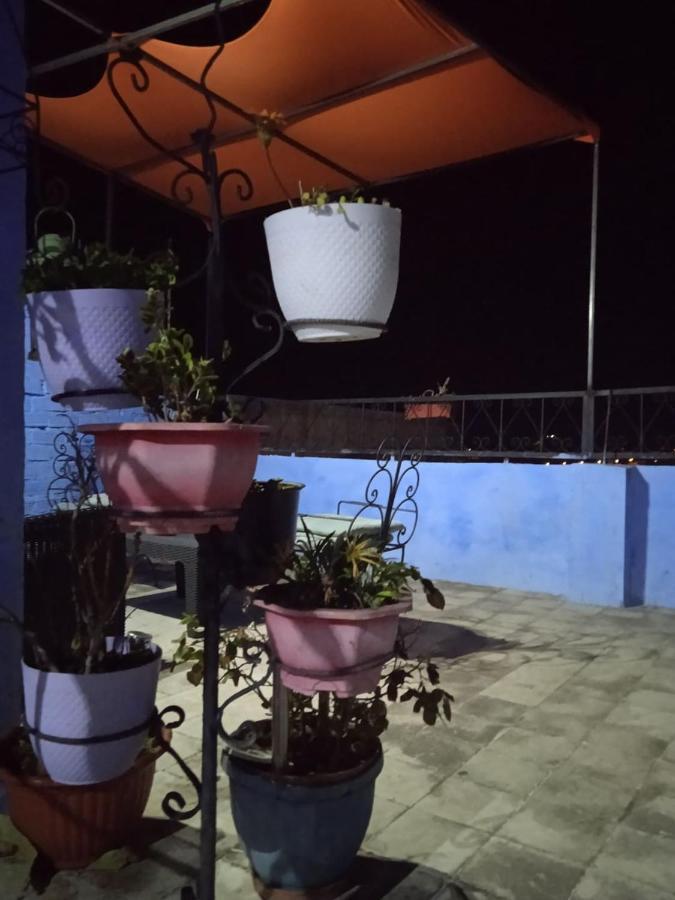 Apartment Dar Daoued *