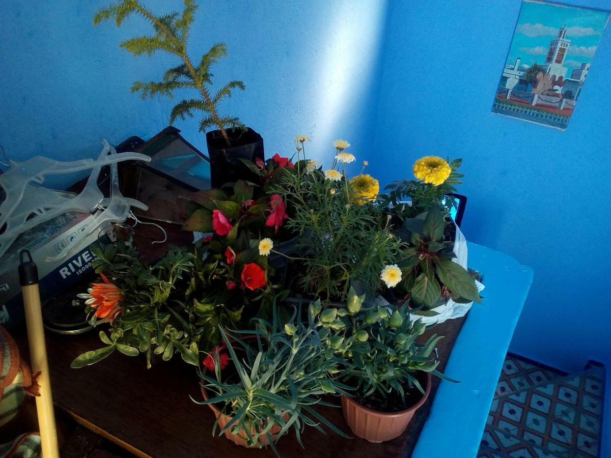 Dar Daoued Apartment Chefchaouen